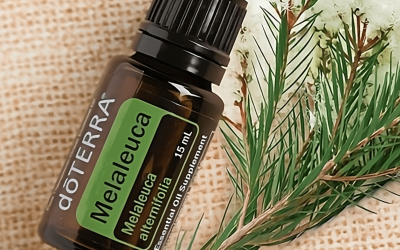 A Melaleuca olaj (teafa olaj) – a bőr mindenese